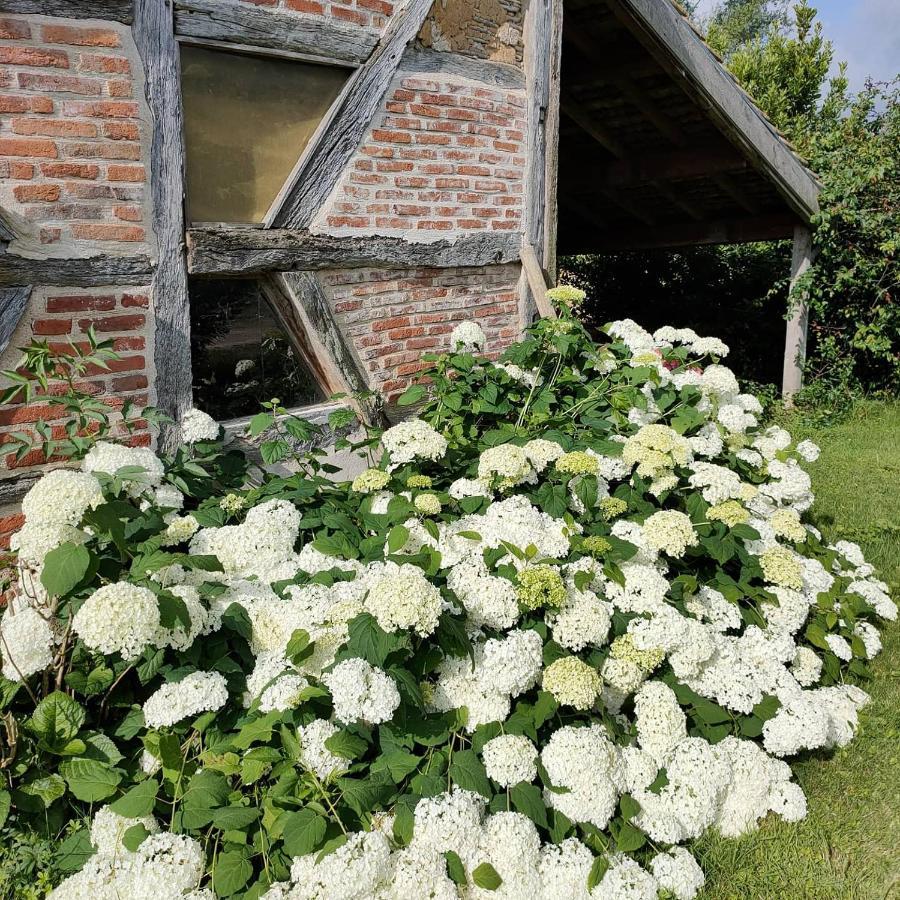 La Ferme Du Grand Faubourg Bed and Breakfast Pont-de-Vaux Buitenkant foto