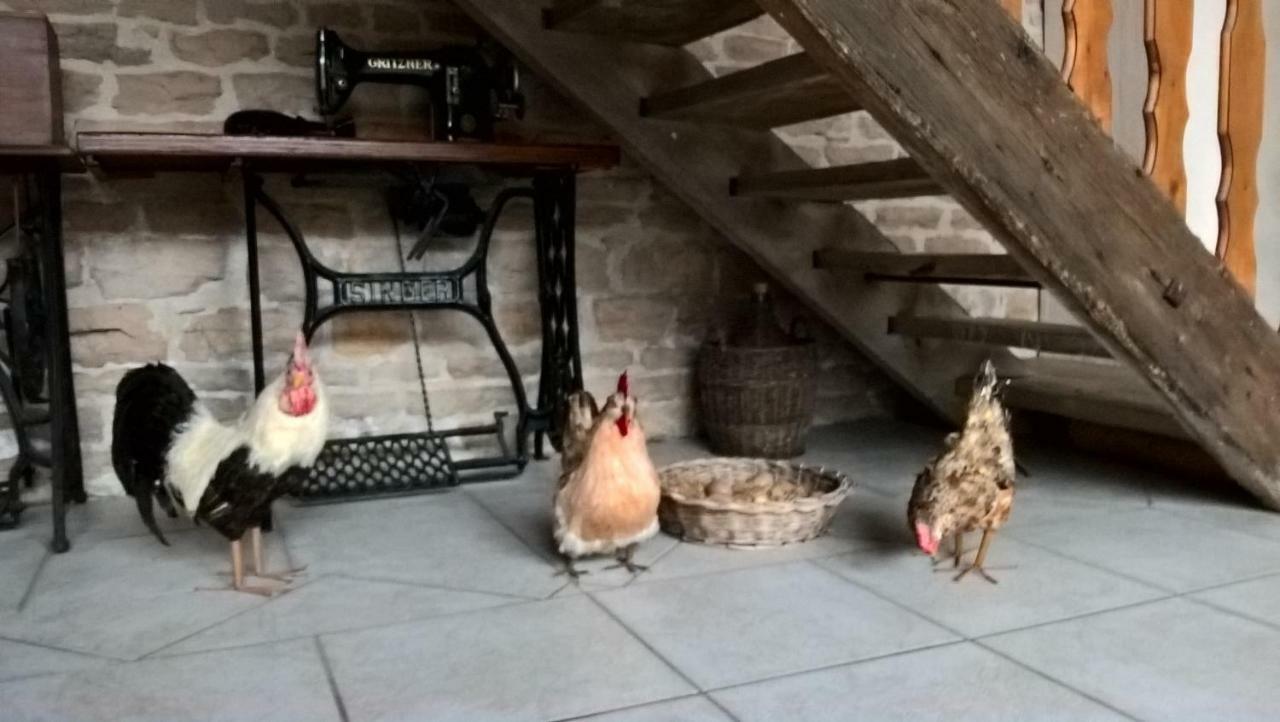 La Ferme Du Grand Faubourg Bed and Breakfast Pont-de-Vaux Buitenkant foto